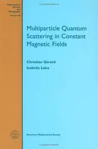 Multiparticle Quantum Scattering in Constant Magnetic Fields(Repost)