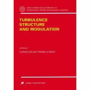 Turbulence Structure and Modulation