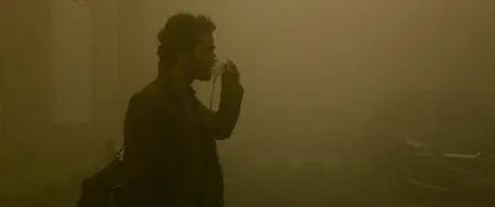 Dans la brume (2018)