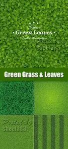 Green Grass & Leaves Vector