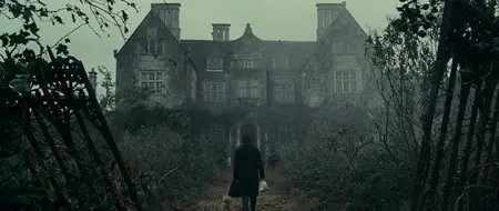 The Woman in Black (2012)