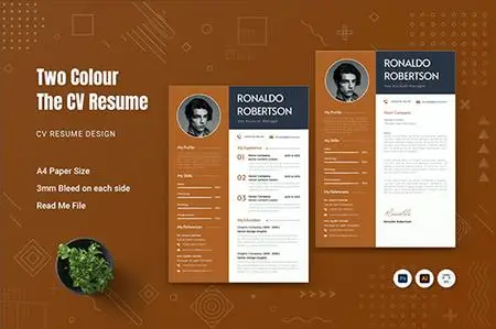 Two Colour CV Resume