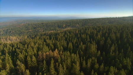 The Green Planet / Das grüne Wunder - Unser Wald (2012)