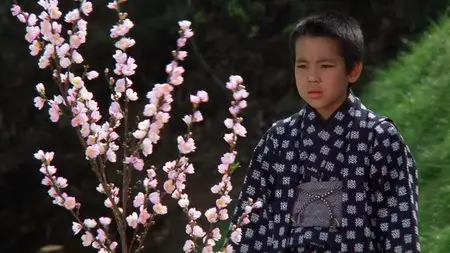 Akira Kurosawa's Dreams (1990)