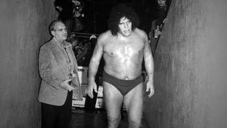Andre the Giant (2018)