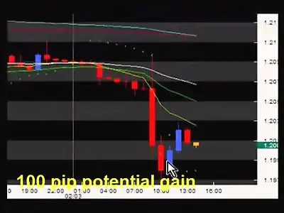 The Power Of Forex - Beginner Level with System