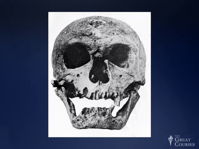 The Rise of Humans - Great Scientific Debates