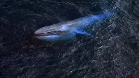 Kingdom of the Blue Whale (2009)