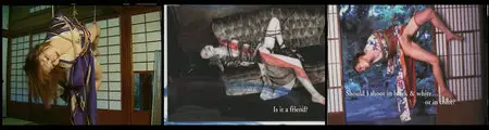 Arakimentari (2004)