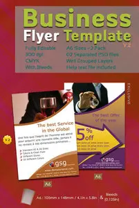Business Flyer