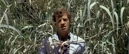 Pierrot Goes Wild / Pierrot le fou / Безумный Пьеро (1965)