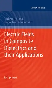 Electric Fields in Composite Dielectrics and their Applications (repost)