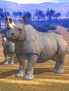 Rhino 
