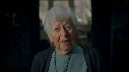 BBC - 1944: Should We Bomb Auschwitz? (2019)