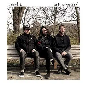 Sebadoh - Act Surprised (2019)