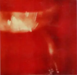 John Butcher & Gino Robair - New Oakland Burr (2004)