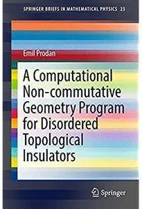 A Computational Non-commutative Geometry Program for Disordered Topological Insulators [Repost]