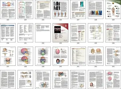 Anatomy & Physiology: The Unity of Form and Function, 6 Edition