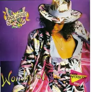 Rick James - Wonderful (1988)