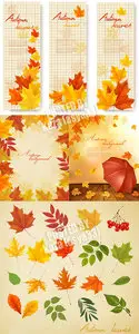 Autumn leaves 8