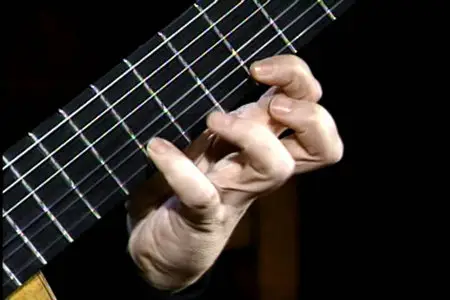Classical Guitar Technique and Musicianship