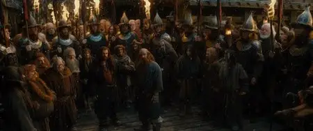 The Hobbit: The Desolation of Smaug (2013)