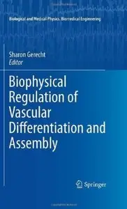 Biophysical Regulation of Vascular Differentiation and Assembly [Repost]