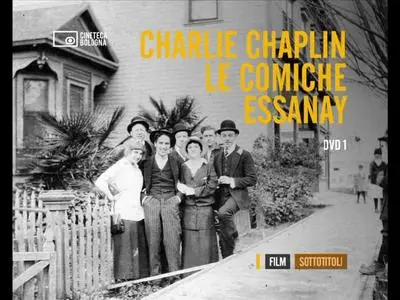 The Essanay Films (1915-1918)