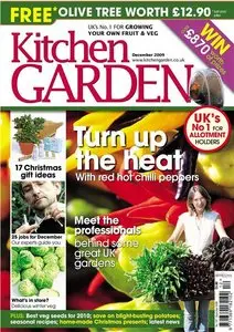 Kitchen Garden - December 2009