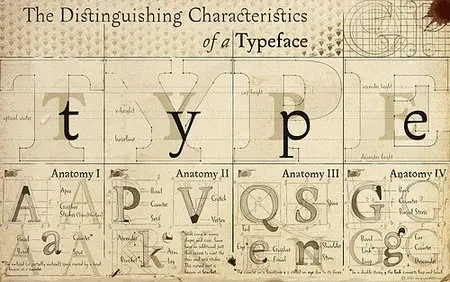 Beginner's Guide to Typography