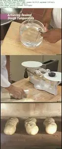 CIA - The Basic Steps of Baking Bread and Laminating Dough