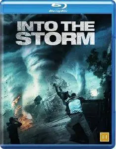 Into the Storm (2014)