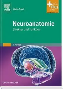 Neuroanatomie: Struktur und Funktion (repost)