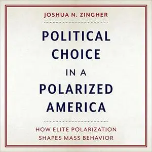 Political Choice in a Polarized America: How Elite Polarization Shapes Mass Behavior [Audiobook]