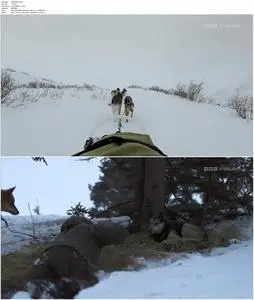 BBC - Snow Dogs: Into the Wild (2022)