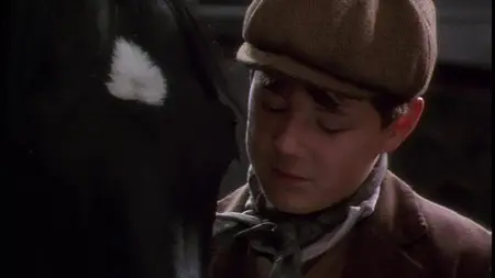 Black Beauty (1994)