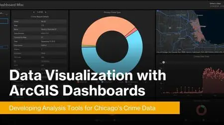 Data Visualization with ArcGIS Dashboards: Developing Analysis Tools for Chicago's Crime Data