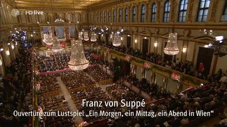 Neujahrskonzert der Wiener Philharmoniker / Vienna New Year's Concert 2015 [HDTV 720p]