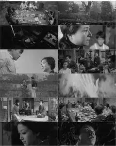 Thirst for Love (1966) Ai no kawaki [The Criterion Collection]