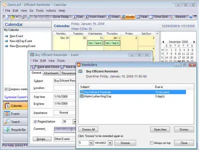 Efficient Reminder 3.0 Build 318 Portable 