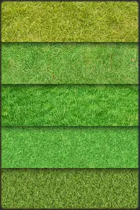 Grass textures. Part 3