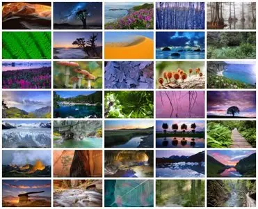 Wallpaper: Webshots - Nature 02 - Wide Screen (2560x1440) 