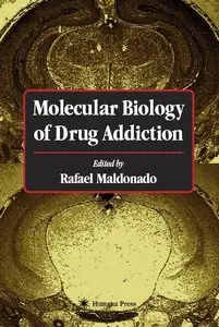 Molecular Biology of Drug Addiction (repost)