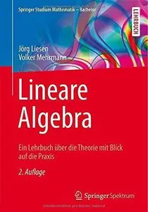 Lineare Algebra: Ein Lehrbuch über die Theorie mit Blick auf die Praxis 