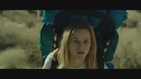 Wild / Дикая (2014)