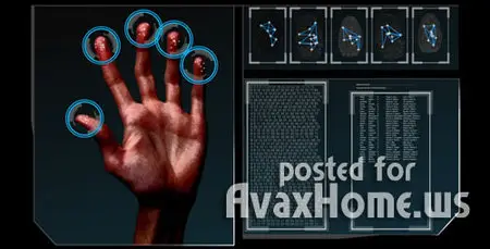 HD Fingerprint Scan Identification Interface - Footage for After Effects (Videohive)
