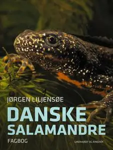 «Danske salamandre» by Jørgen Liljensøe