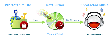 NoteBurner  v1.41