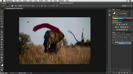 Noise Reduction and Sharpening in Lightroom and Photoshop