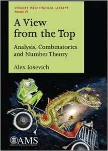 A View from the Top: Analysis, Combinatorics and Number Theory